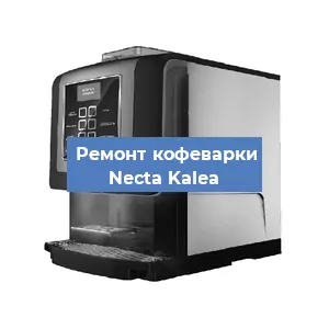 Замена прокладок на кофемашине Necta Kalea в Новосибирске